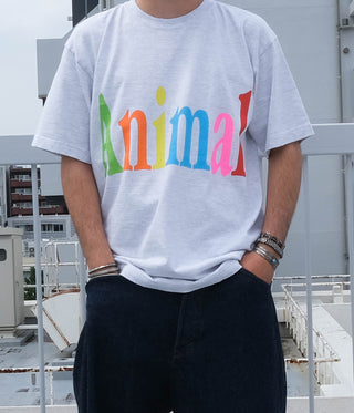 Media 9