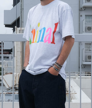 Media 8