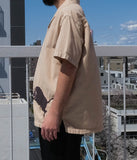 Media 12