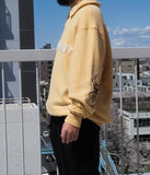 Media 11