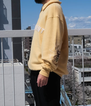 Media 11